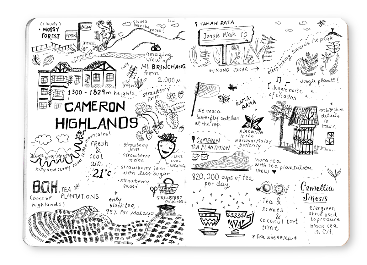 TSLSM-Malaysia-Cameron-Highlands